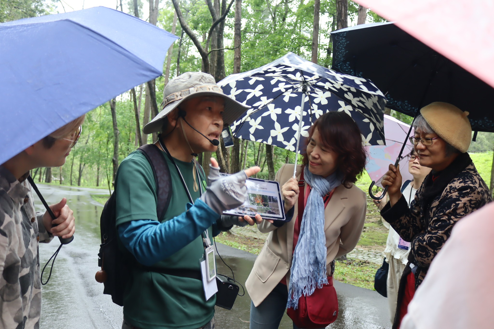 494199249 1095795139260709 6201678619229915589 N