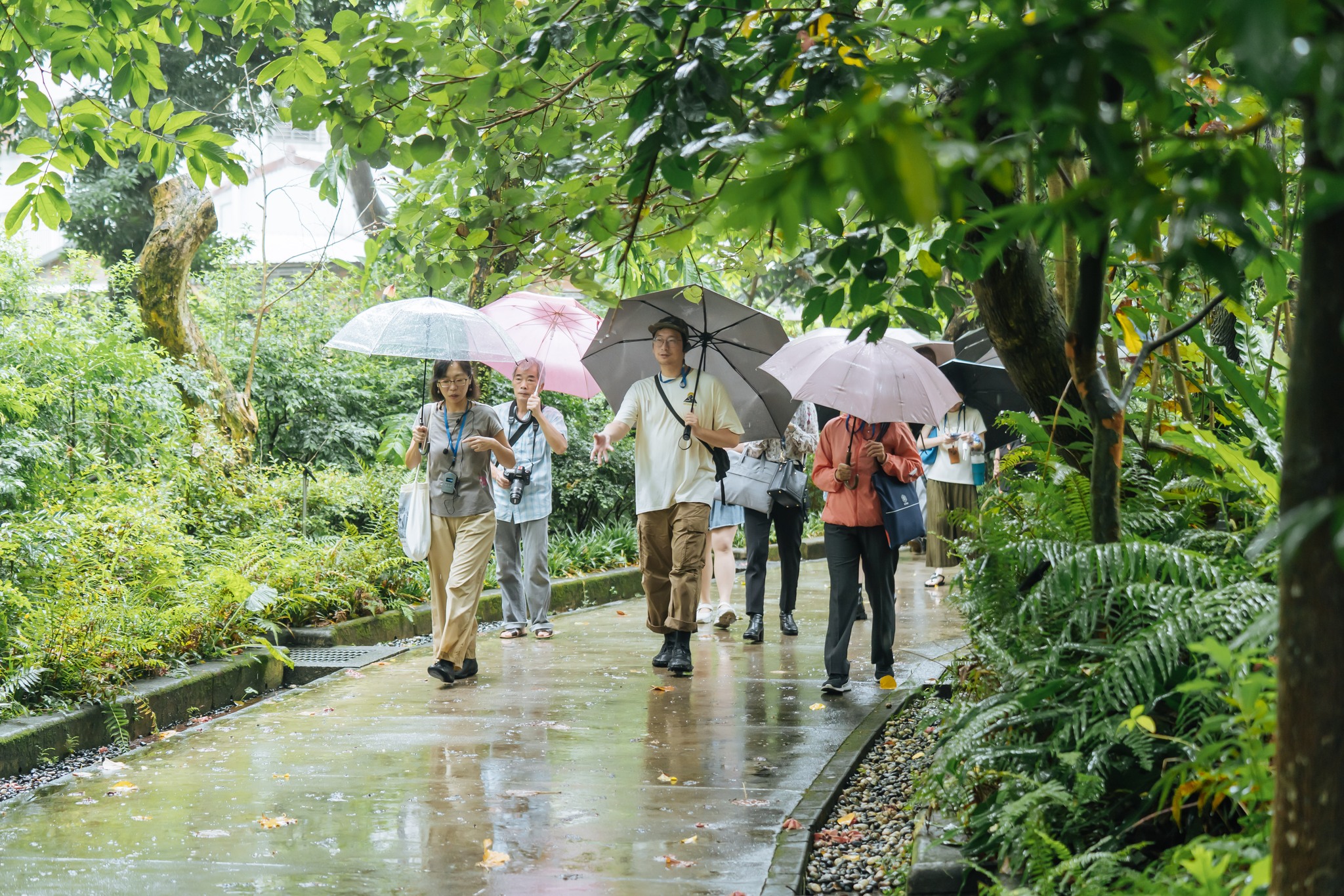 517585429 1151259480380941 7857797910474873133 N 1