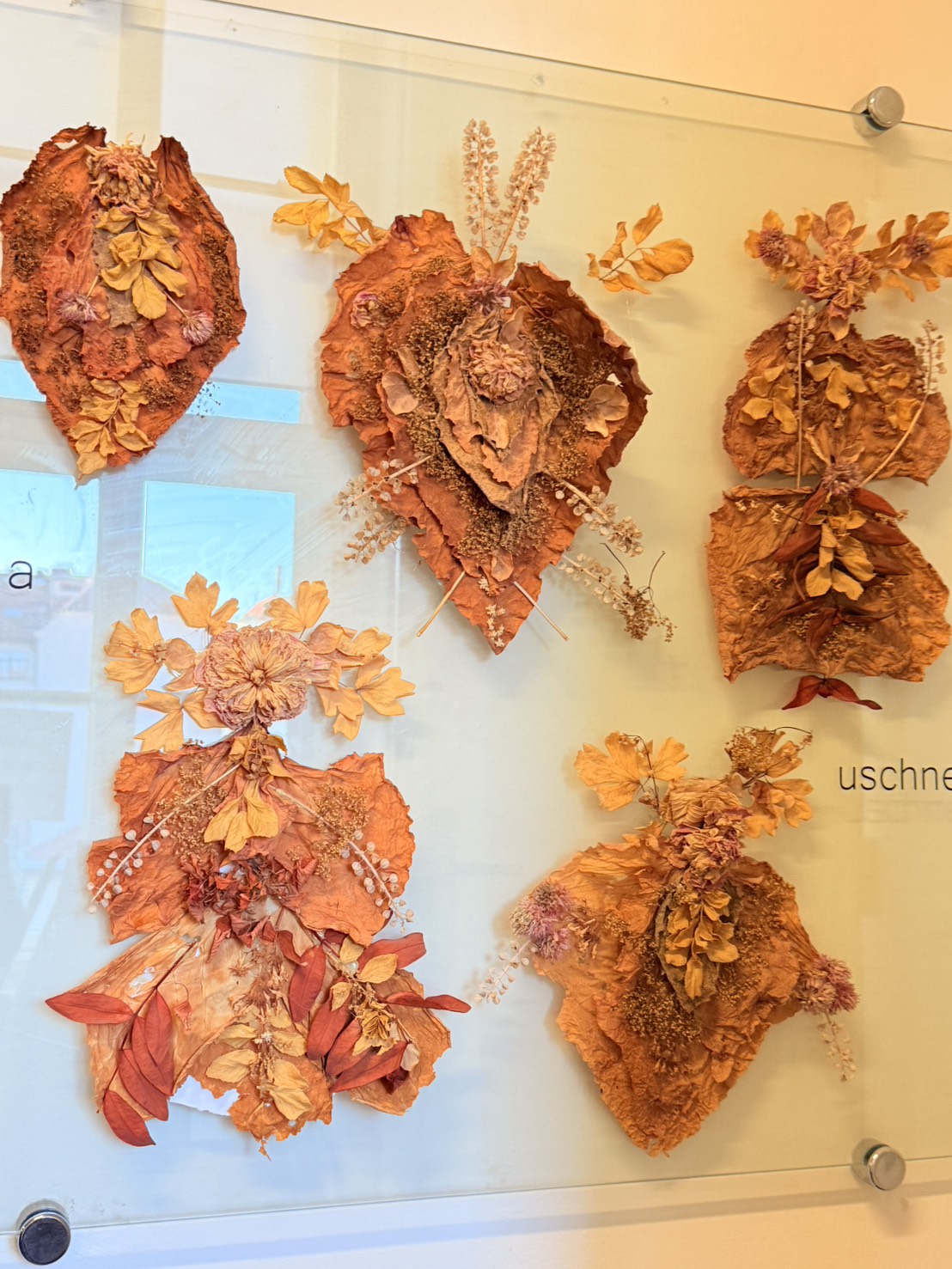 581785246 1257294773110744 8806938576696641932 N