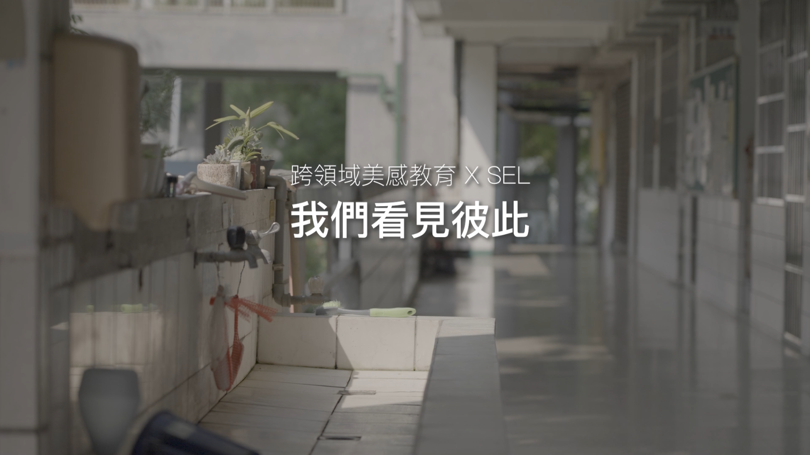 SelChinese, we see each other.